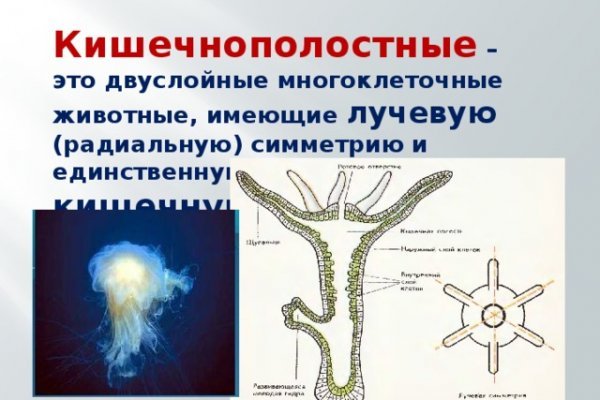 Оригинальная ссылка кракен браузера