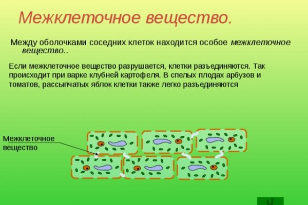 Ссылка на сайт кракен в тор